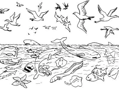 Creation 05b_rsz.jpg